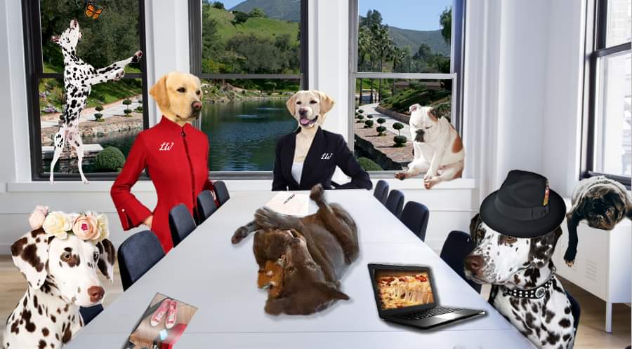 Dogs dressed in business attire sit and stand around a conference table with laptops and magazines; a cat lies on the table, and other animals are present in a bright office setting.