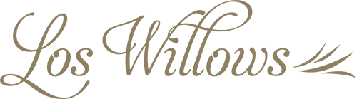 The image shows the words "Los Willows" in an elegant, cursive font with three stylized lines to the lower right of the text.
