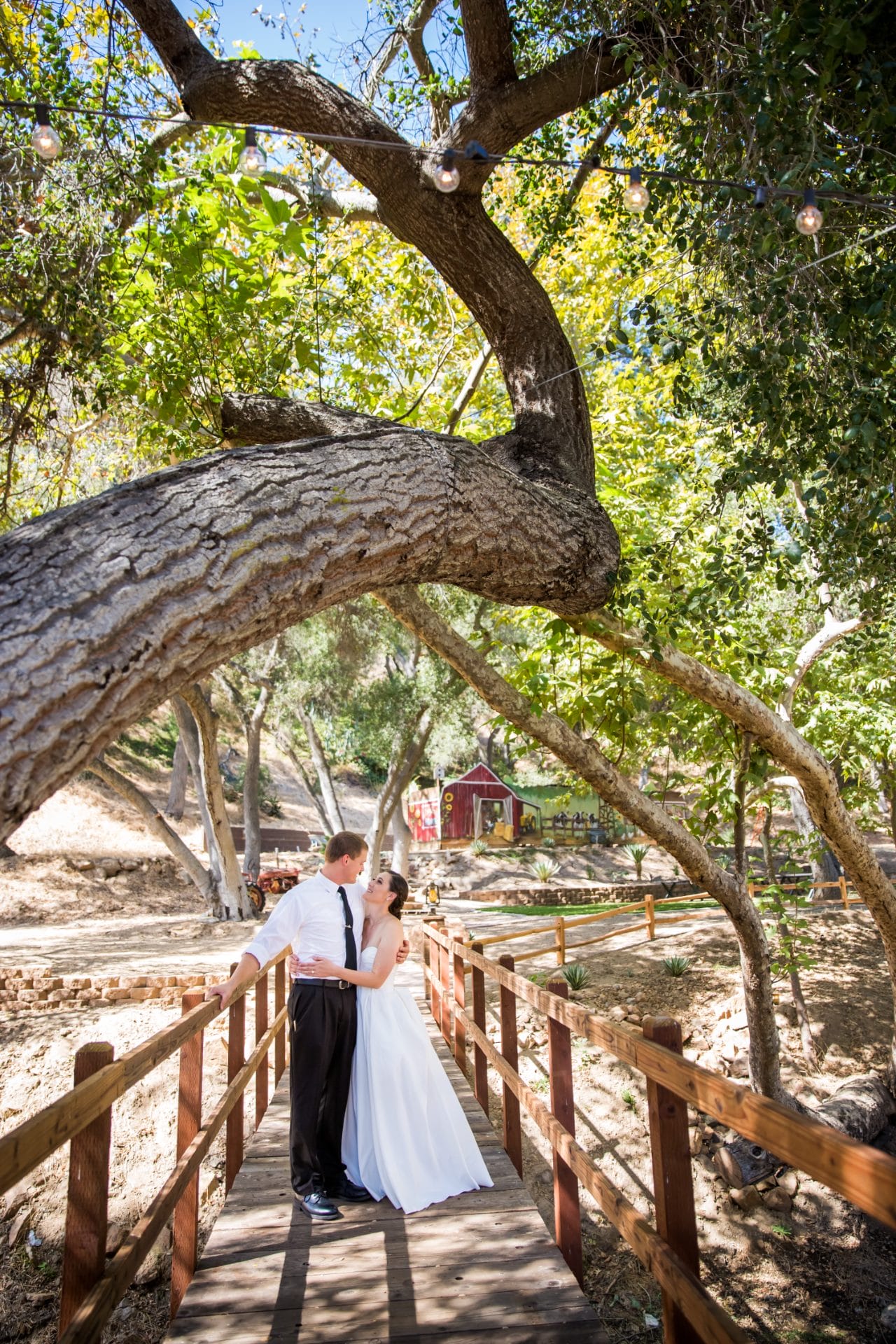 A bride and groom stand together on a wooden bridge under a large, arching tree in an outdoor setting, with a red barn in the background.
